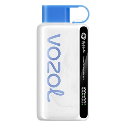 Vozol 12000 Puff Blueberry Storm