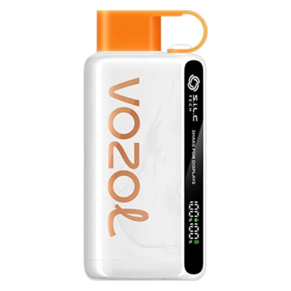 Vozol 12000 Puff Peach Mango Watermelon