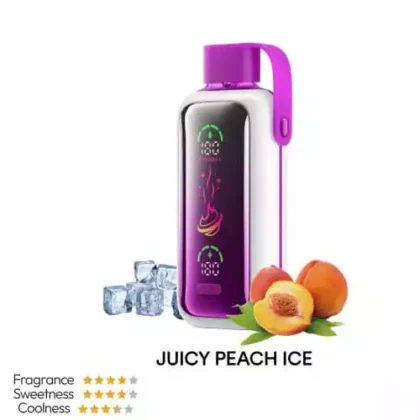 Vozol 20000 – Juicy Peach Ice Puff