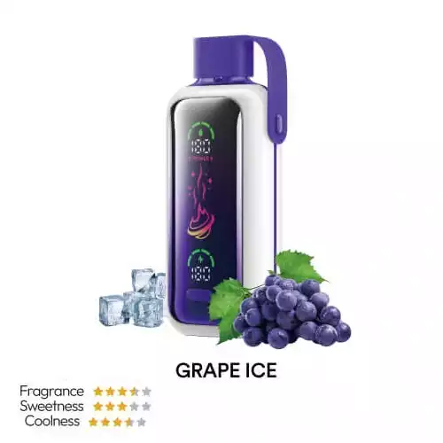 Vozol 20000 – Grape Ice