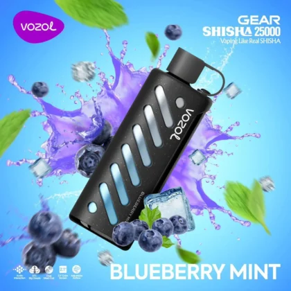 Vozol Gear 25000 Blueberry Mint
