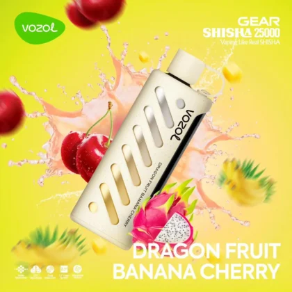 Vozol Gear 25000 Dragon Fruit Banana Cherry