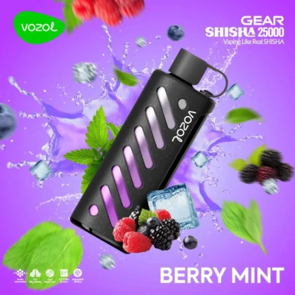 Vozol Gear 25000 Berry Mint