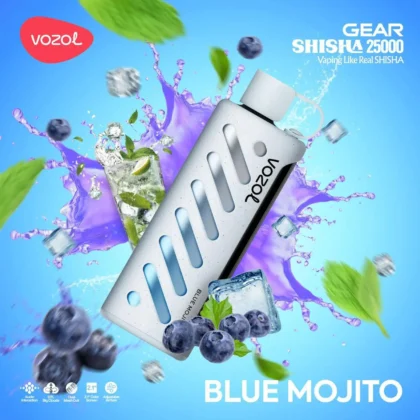 Vozol Gear 25000 Blue Mojito