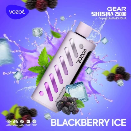 Vozol Gear 25000 Blackberry Ice