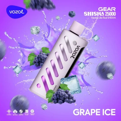 Vozol Gear 25000 Grape Ice