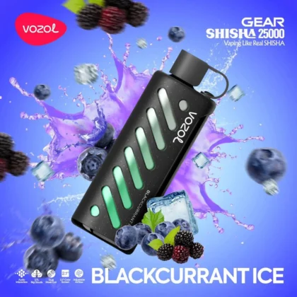 Vozol Gear 25000 Blackcurrant Ice