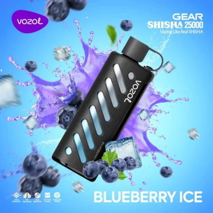 Vozol Gear 25000 Blueberry Ice