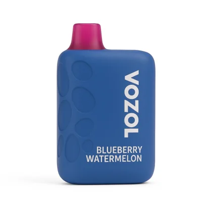 Vozol Rave 40000 Puffs Blueberry Watermelon