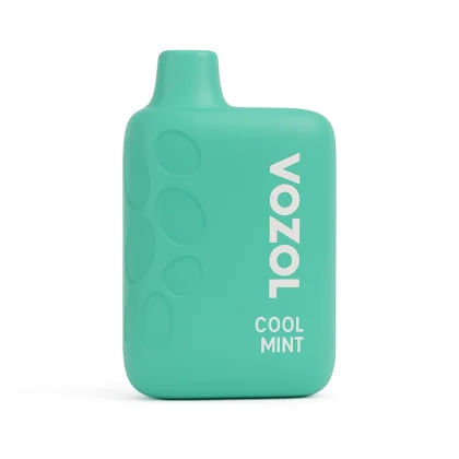 Vozol Rave 40000 Puffs Cool Mint