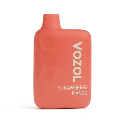 Vozol Rave 40000 Puffs Strawberry Mango