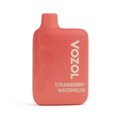 Vozol Rave 40000 Puffs Strawberry Watermelon